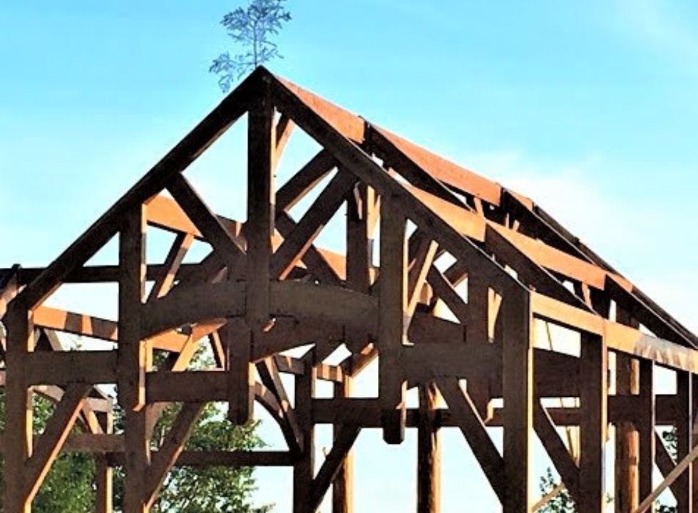 Retro Gallery - Crazy Creek Timber Frames